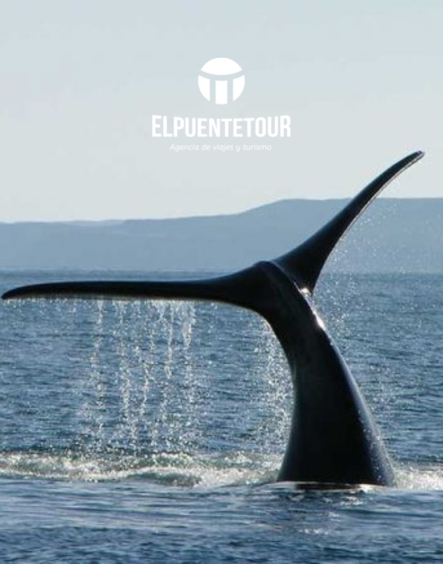 PUERTO MADRYN