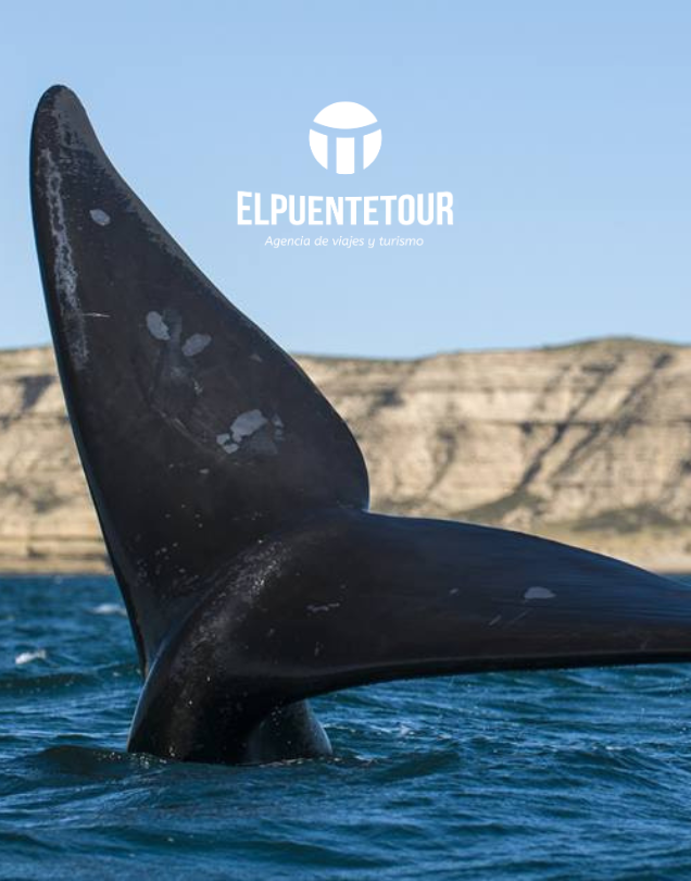 PUERTO MADRYN