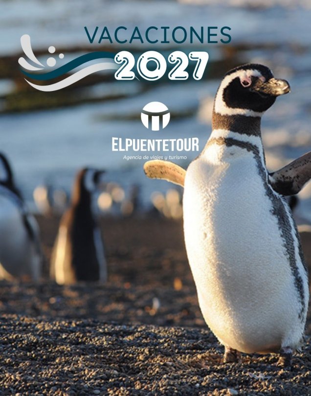 PUERTO MADRYN VERANO